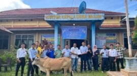 Hewan kurban yang diberikan oleh PT Pel Muara Enim (Poto: ifakta.co/ed)