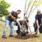 Sejumlah pejabat PLN dan Dinas LH sedang menamam pohon (foro:ifakta.co)