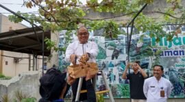Nurhanudi, Camat Pasar Kemis, panen anggur di perumahan Taman Buah, Kutabumi.