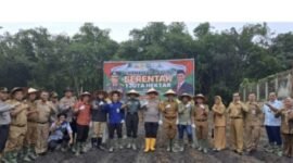 Oplus_131072