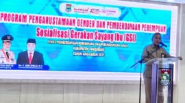 Kepala DPPPA Kabupaten Tangerang, Asep Suherman, dalam sambutannya menuturkan, GSI merupakan gerakan kolaboratif antara pemerintah dan masyarakat yang bertujuan meningkatkan kesejahteraan ibu dan anak.(foto:istimewa)