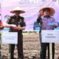 Bupati Tangerang Moch Maesyal Rasyid menyerahkan bantuan sarana produksi pertanian serta melakukan penanaman jagung pulut di Desa Kaliasin, Kecamatan Sukamulya, (foto:istimewa)