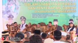 Bupati Maesyal menuturkan keberadaan dan peran pihak swasta dalam mendukung ketahanan pangan sangat dibutuhkan salah satunya keberadaan Rice Milling Unit (RMU) atau penggilingan padi yang berperan penting dalam penyerapan hasil panen petani.(foto:ifakta.co)