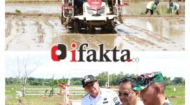 Presiden Republik Indonesia (RI) Prabowo Subianto secara virtual membuka Gerakan Tanam Padi Serentak di 14 provinsi sebagai langkah strategis memperkuat ketahanan pangan nasional. Desa Rancalabuh, Kecamatan Kemiri, Kabupaten Tangerang, menjadi salah satu titik sentral kegiatan tanam serentak Provinsi Banten (foto:ifakta.co/Alex)