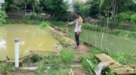 Bhabinkamtibmas Polsek Kronjo Polresta Tangerang, Bripka Surono, melakukan pemantauan terhadap warga binaan yang memanfaatkan lahan pribadi untuk program budidaya ikan lele di Kampung Tanjakan, Desa Kosambi Dalam,(foto:istimewa)