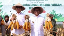 Gubernur Banten Andra Soni berkomitmen untuk terus meningkatkan ketahanan pangan Provinsi Banten.(foto:istimewa)