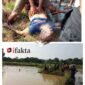Seorang pria dewasa ditemukan meninggal dunia akibat tenggelam di area sawah bekas galian tanah yang berada di Kampung Cayur Tegal, RT 001/001, Desa Rancailat,(foto:istimewa)