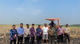 Polsek Kronjo Polresta Tangerang Polda Banten  siapkan 2 hektar lahan tanam jagung (foto:istimewa)