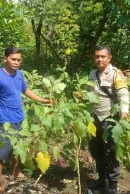 berita-rekomendasi-foto