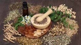 Ilustrasi Obat Berbahan alamI. (Foto : Istimewa)