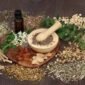 Ilustrasi Obat Berbahan alamI. (Foto : Istimewa)