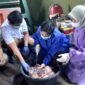 Foto : Tim dokter hewan Ancol sedang memeriksa organ dalam tubuh hewan kurban, yang didampingi dari Dinas Ketahanan Pangan Jakarta Utara