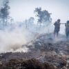 Anggota Komisi IV DPR RI Daniel Johan menilai dampak kebakaran hutan dan lahan yang meluas selama hampir empat bulan perlu mendapat penanganan lebih terkoordinasi. Ia mendesak pemerintah mempertimbangkan penetapan status bencana nasional.