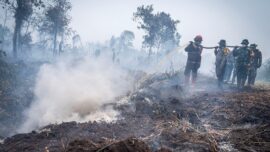 Anggota Komisi IV DPR RI Daniel Johan menilai dampak kebakaran hutan dan lahan yang meluas selama hampir empat bulan perlu mendapat penanganan lebih terkoordinasi. Ia mendesak pemerintah mempertimbangkan penetapan status bencana nasional.